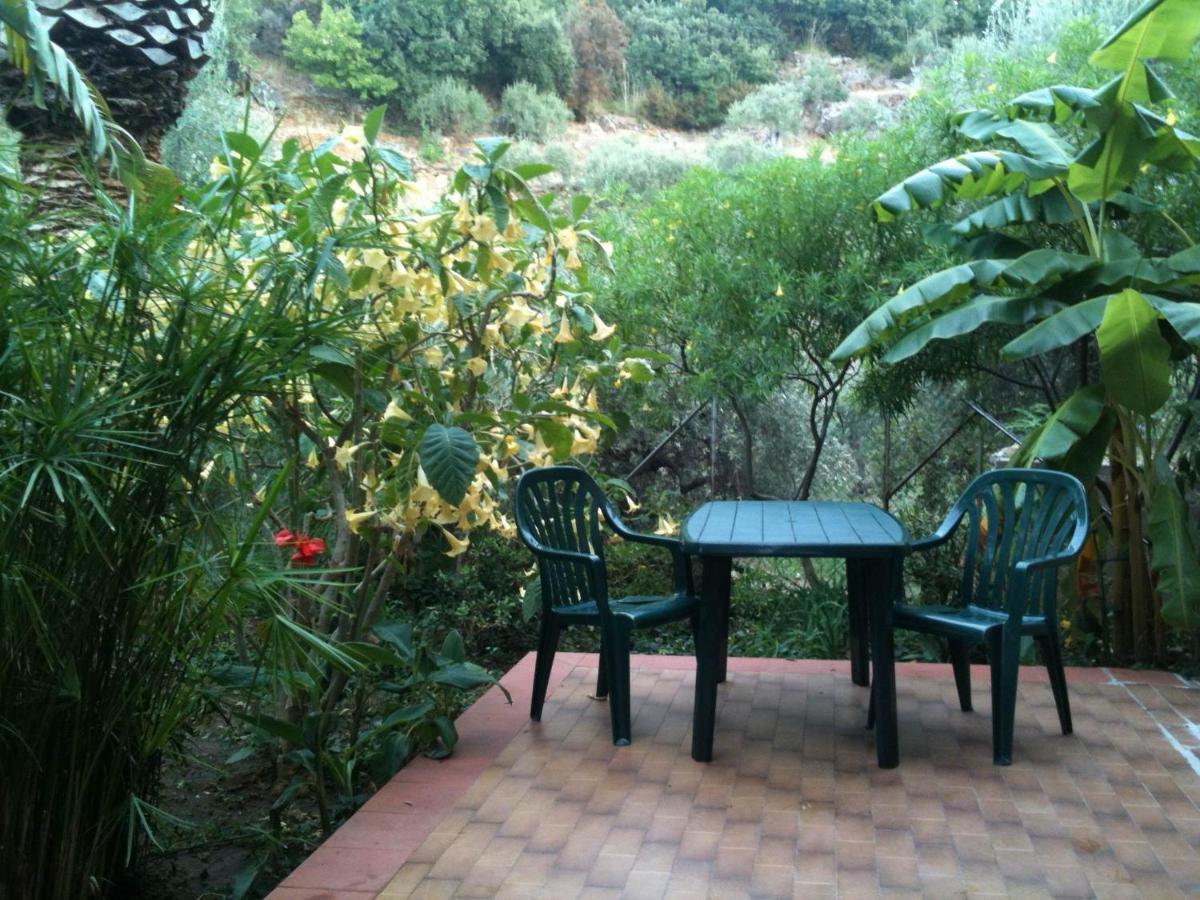 Stanza In Villa Con Giardino Vista Mare Cefalú Exterior foto