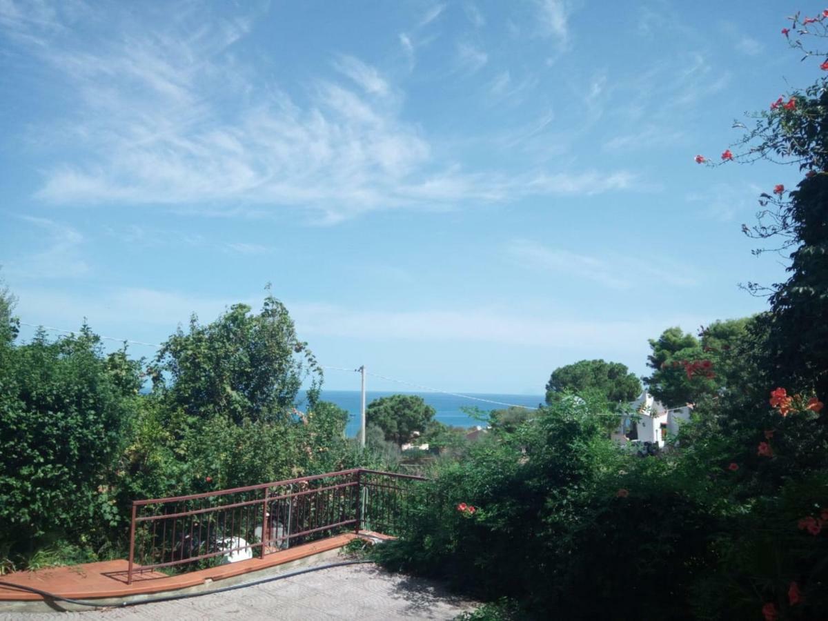 Stanza In Villa Con Giardino Vista Mare Cefalú Exterior foto